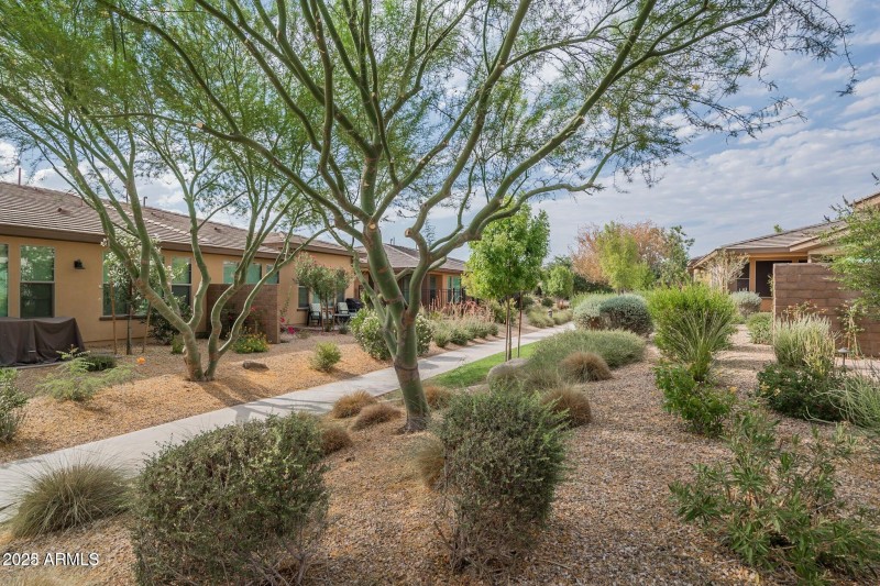 Walking trail behind the home.