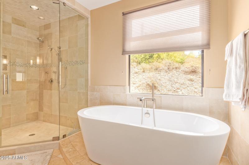 Summit Master tub Shower