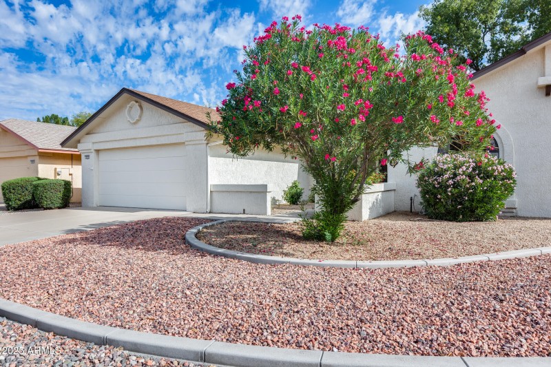 Low Maintenance Landscaping