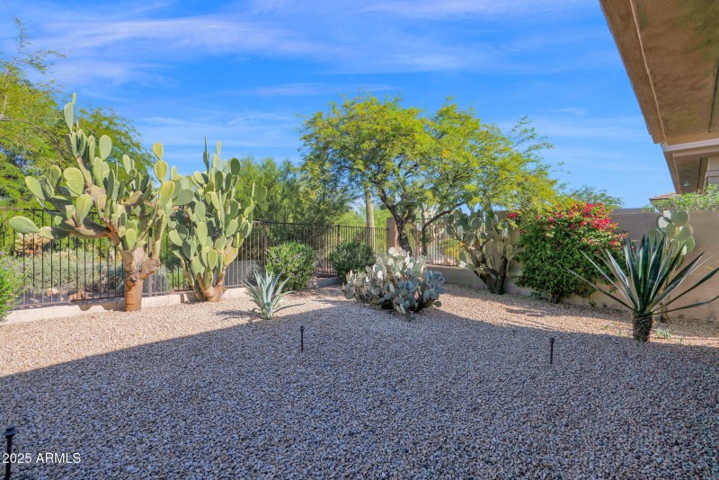 Lush Desert Rear Yard