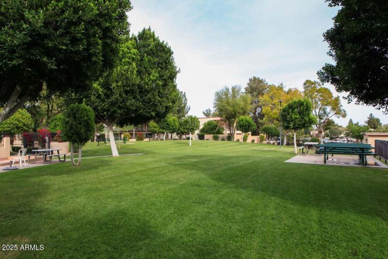 The Lakes Beach and Tennis Club Picnic A