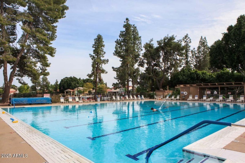 The Lakes Beach and Tennis Club- Pool