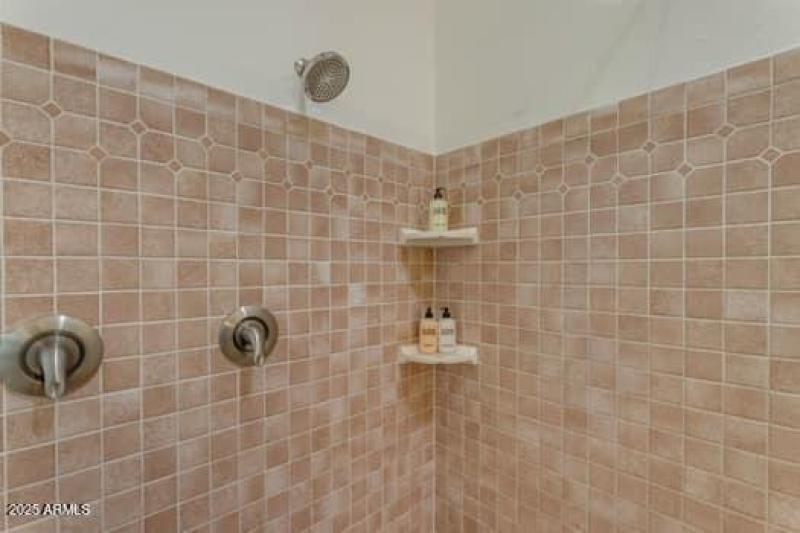 large-68ffe406-9aa5-465b-8624-95796db56f