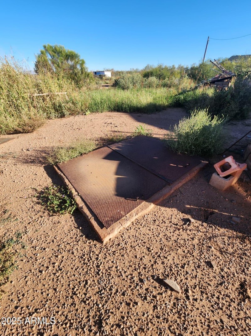 WhatsApp Image 2025-11-02 at 4.17.27 PM