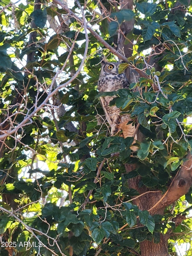 WhatsApp Image 2025-11-02 at 4.17.34 PM