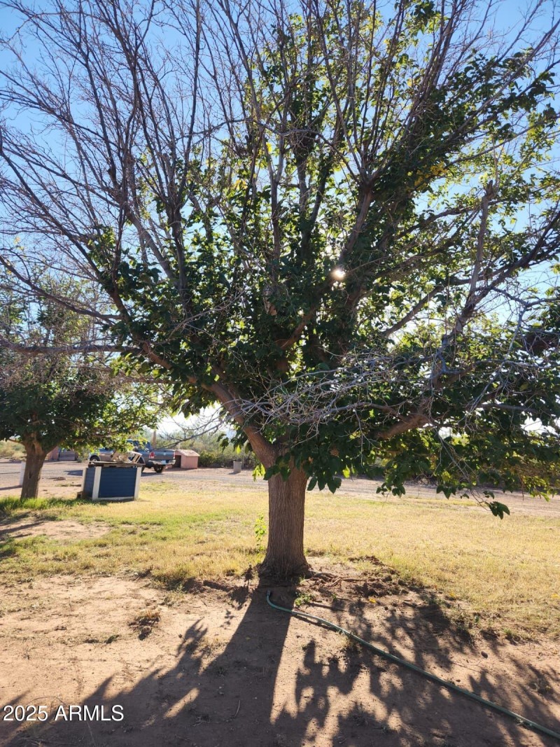 WhatsApp Image 2025-11-02 at 4.17.36 PM