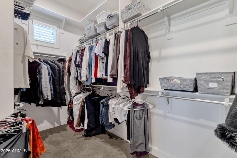 Primary suite closet w/built-ins