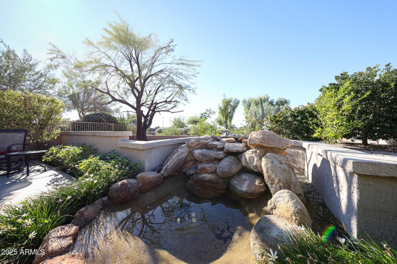 Water Fountain In Back Yard
