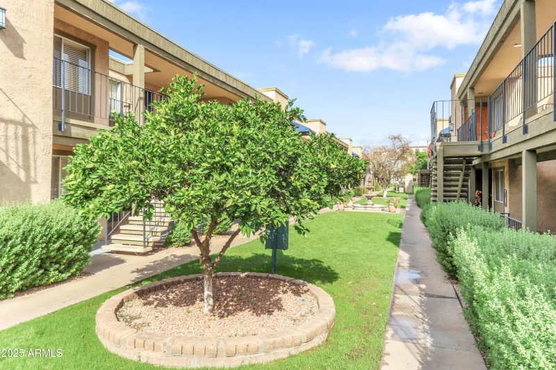 2228 E Campbell Ave (31)