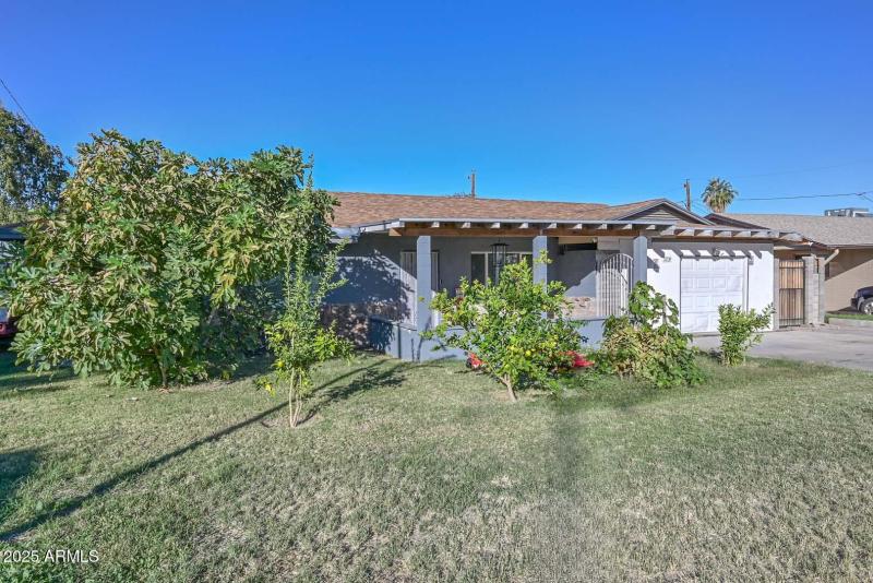 Front View-Fruit Trees