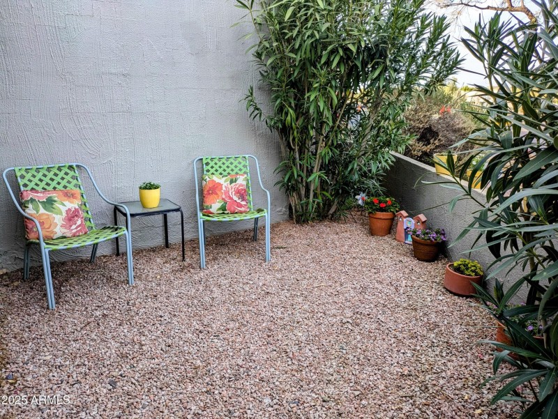 PXL_20250301_001331998~2_Original