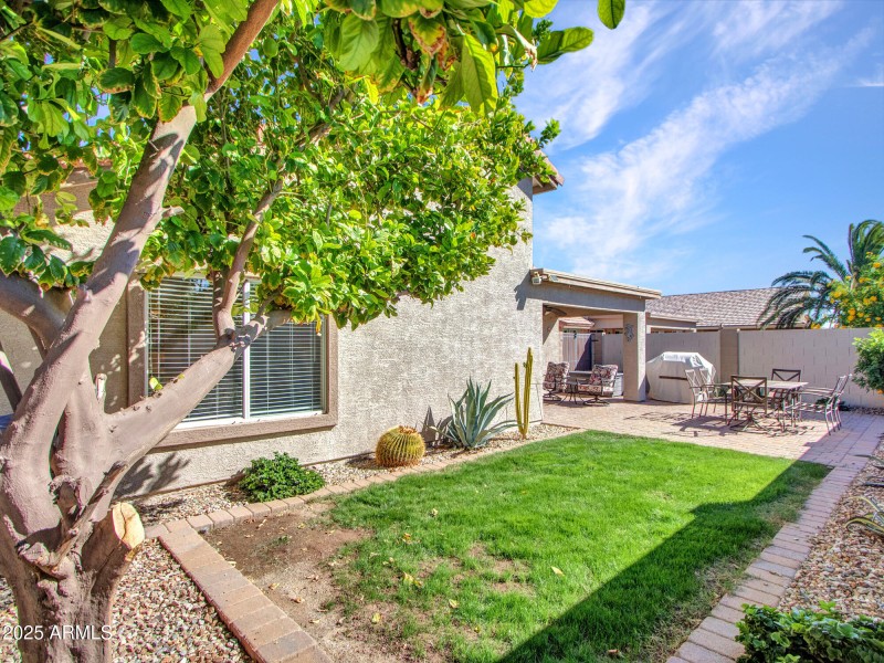 Spacious Backyard & Patio View
