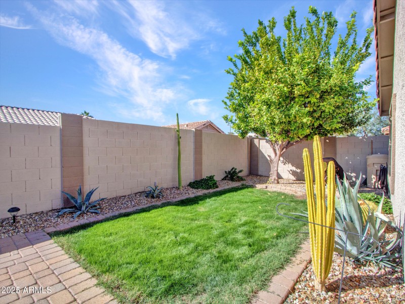 Backyard with Covered Patio