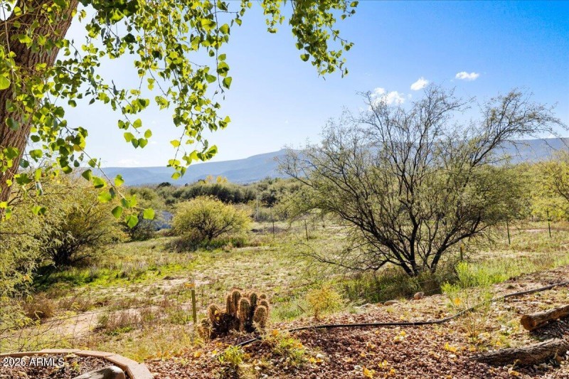 22-View from back patio