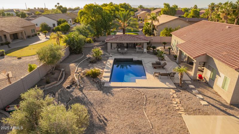 14 - Starflower Drone