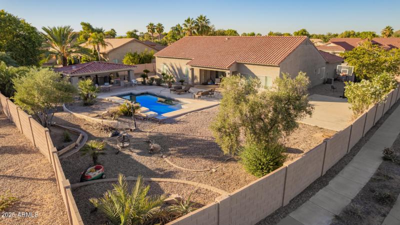 09 - Starflower Drone