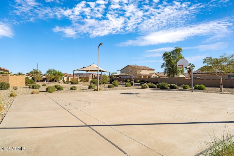 3 Backyard-6 (Large)