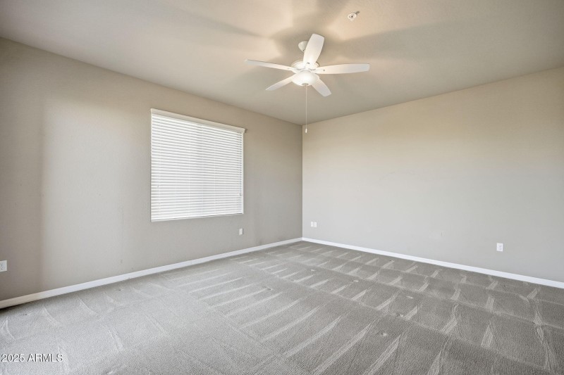 <><><><><><><><><><>