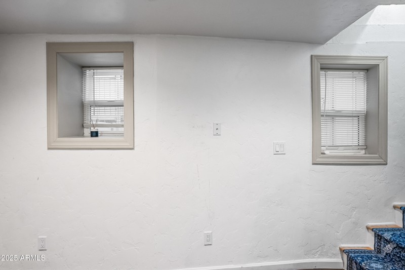 Lower Level Bonus Room Windows