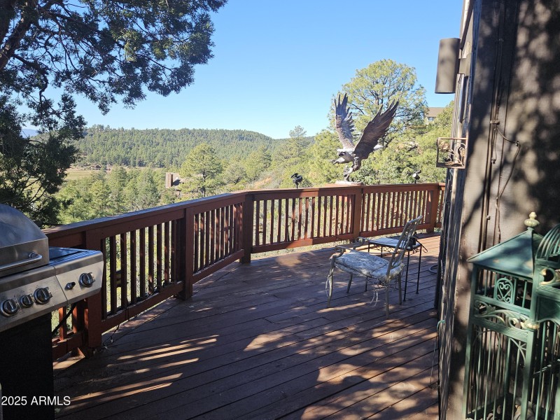 Back View to the South