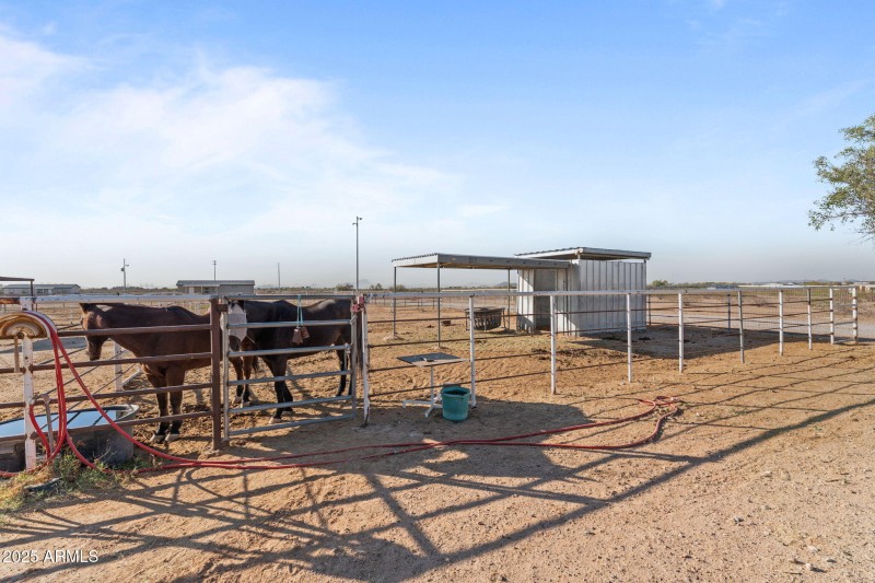 37-web-or-mls-DSC08098