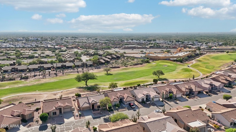 41-print-E Texas Ebony Dr-S1311-041