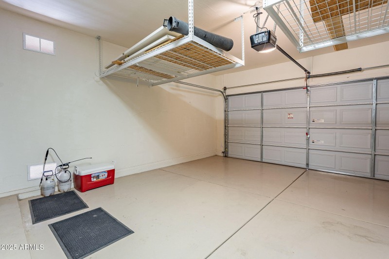 43-web-or-mls-Elderberry-43