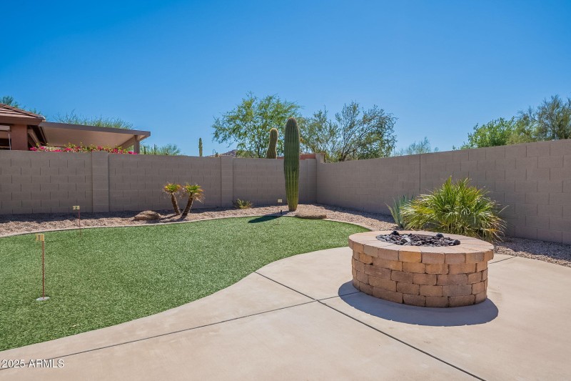 52-web-or-mls-Elderberry-52