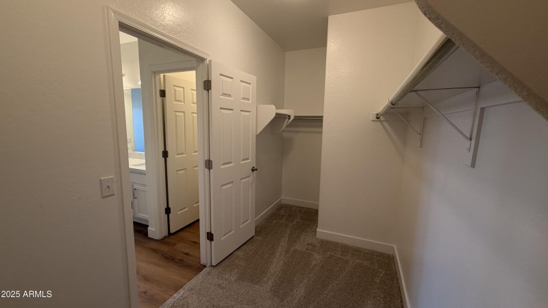 Photo Nov 14 2025, 10 58 53 AM