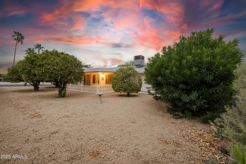 Backyard Fruit Trees