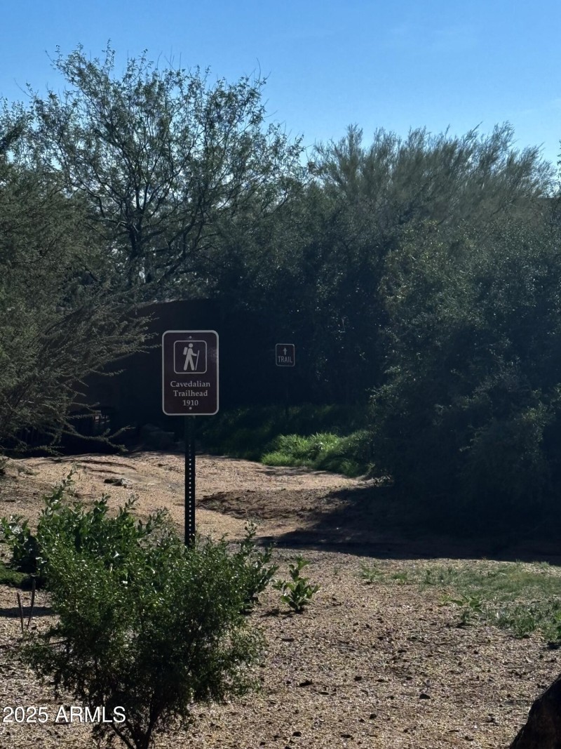 McDowell Mountain Trail