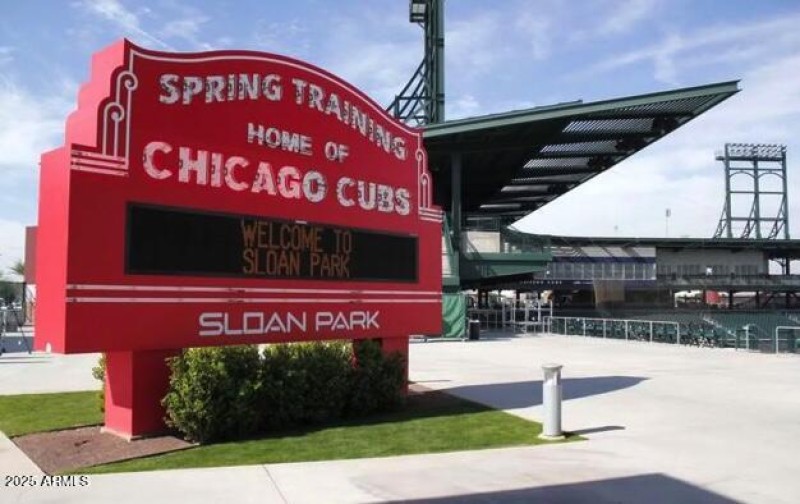 cubs spring training