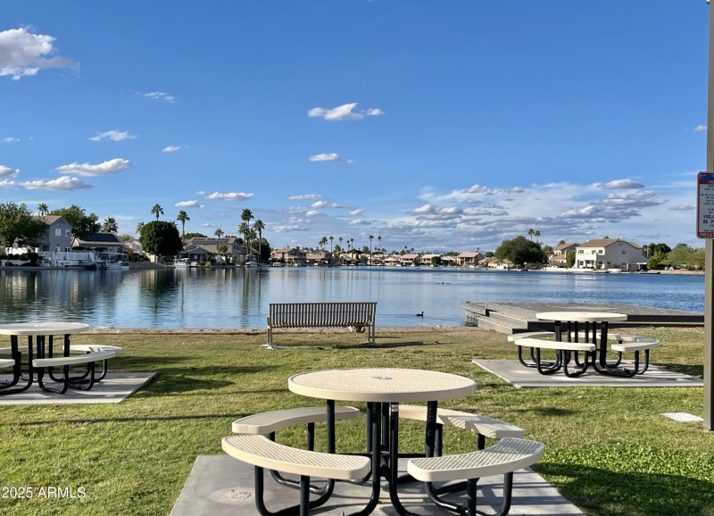 Community picnic are