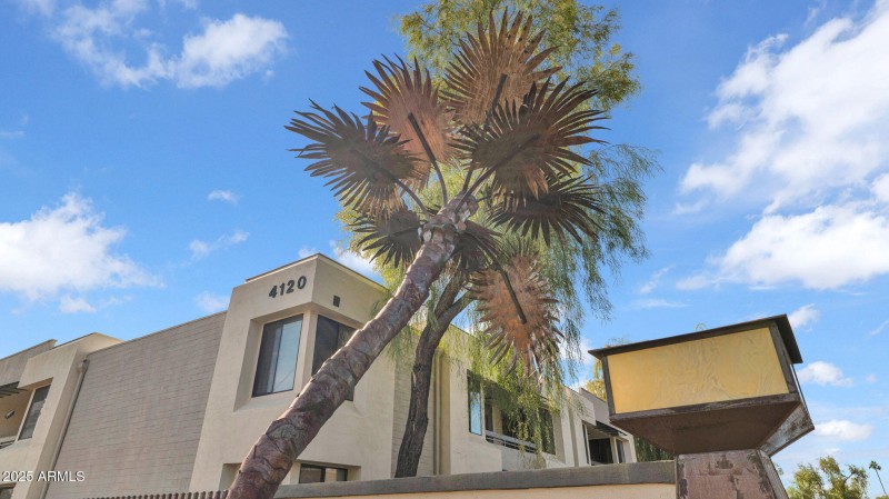 29-web-or-mls-P1309956