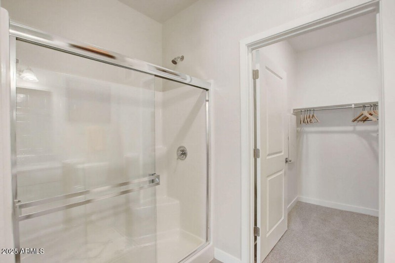 Walk in Shower and Closet