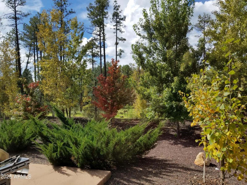 5410 N Saint Andrews Drive, Lakeside, A