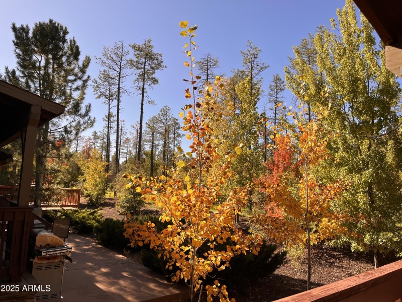 5410 N Saint Andrews Drive, Lakeside, A