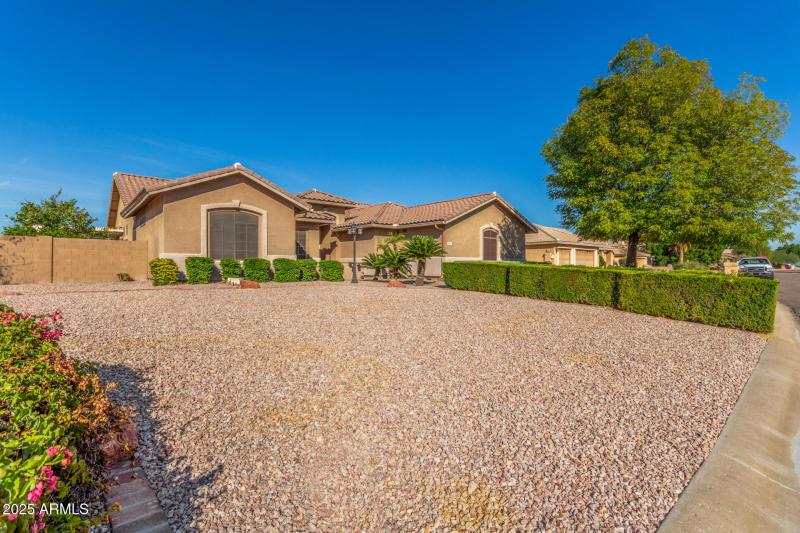 Expansive Desert Front Yard