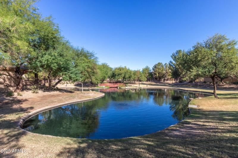 51 - Periwinkle 2043