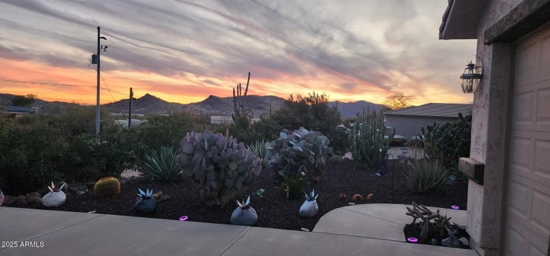 thumbnail_20250316_184846