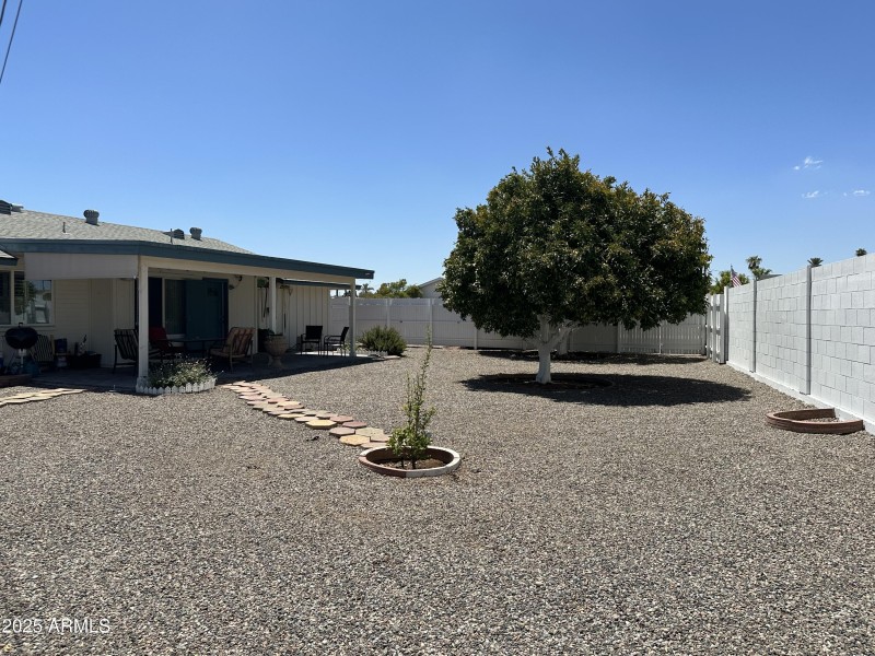 Backyard - patio