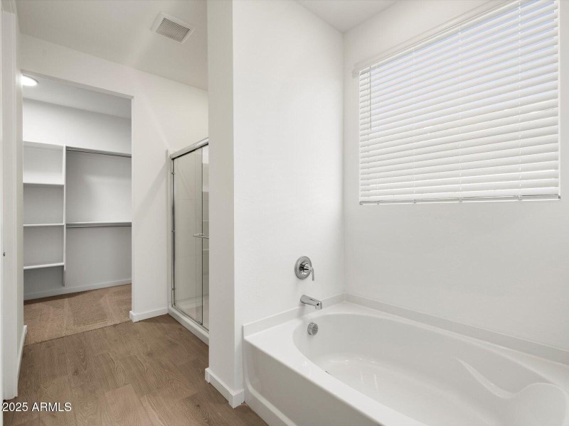 Primary Bathroom View 1