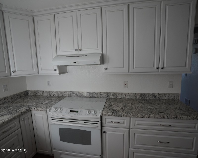 Hood Vent_Oven resize