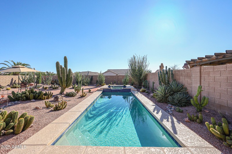 Pool & Spa does not overpower the back