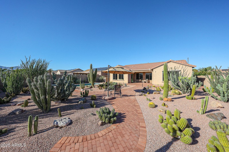 LOW LOW LOW maintenance landscaping!