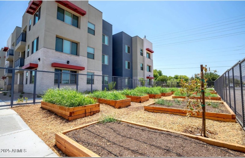 Community Garden