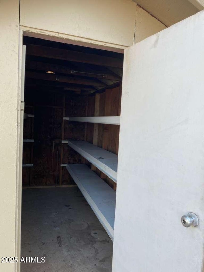 WhatsApp Image 2025-12-01 at 2.17.40 PM