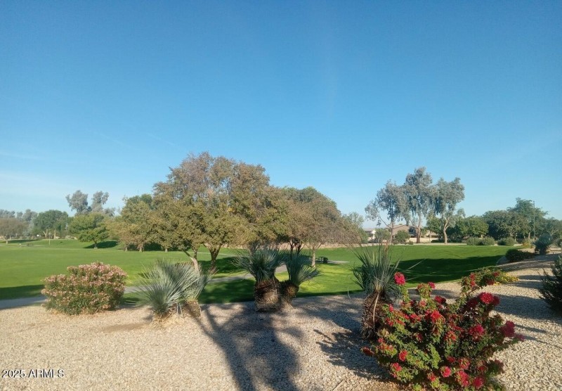 Resized_20251125_151538