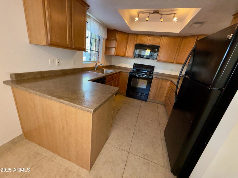 925 S. Longmore Dr. #109 - 16