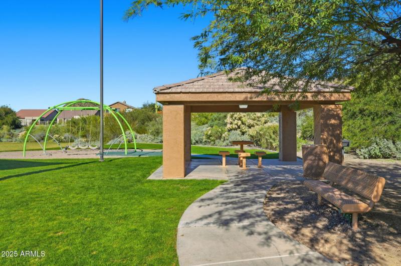 Gorgeous year round grass